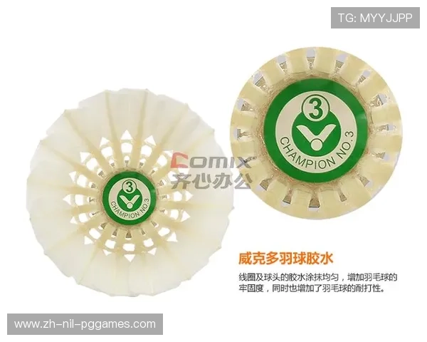 羽毛球胜利4号球